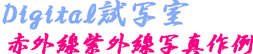 赤外線，紫外線写真集