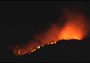 山火事