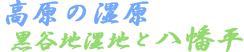 岩手県八幡平の風景