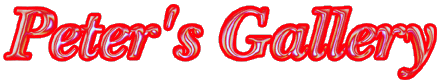 Peter's Gallery