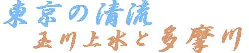 Bird Gallery 多摩川