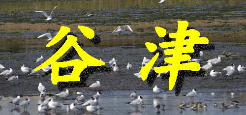 谷津干潟